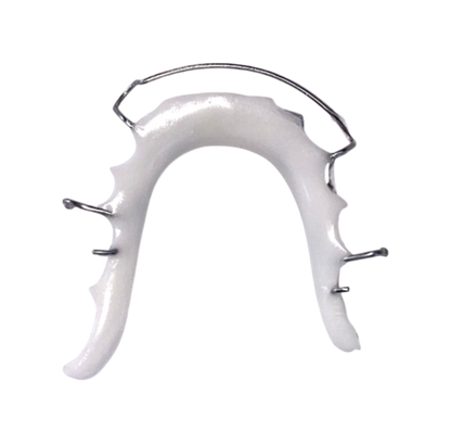 White dental model with metal framework on a white background