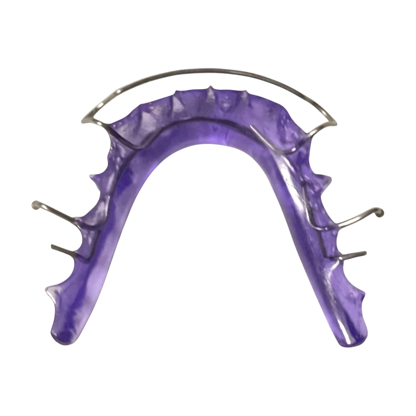 Purple dental model with metal framework on a white background